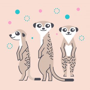 Cute Stationery Collection - meercats