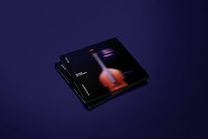 Bass Stories - album cover design