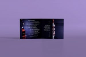 Bass Stories - album cover design