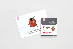 Rozowa Wieza life cycle of a ladybird Montessori card packaging