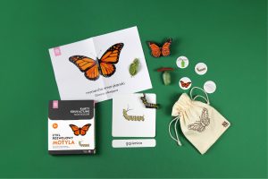 Rozowa Wieza life cycle of a butterfly Montessori card set