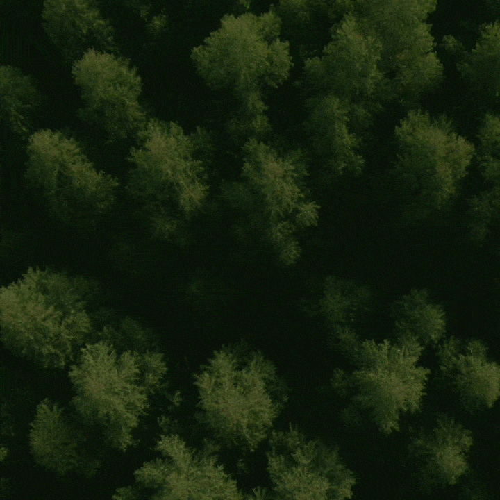 natural vibes animated logo